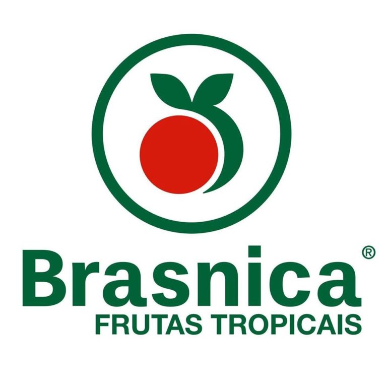 Brasnica